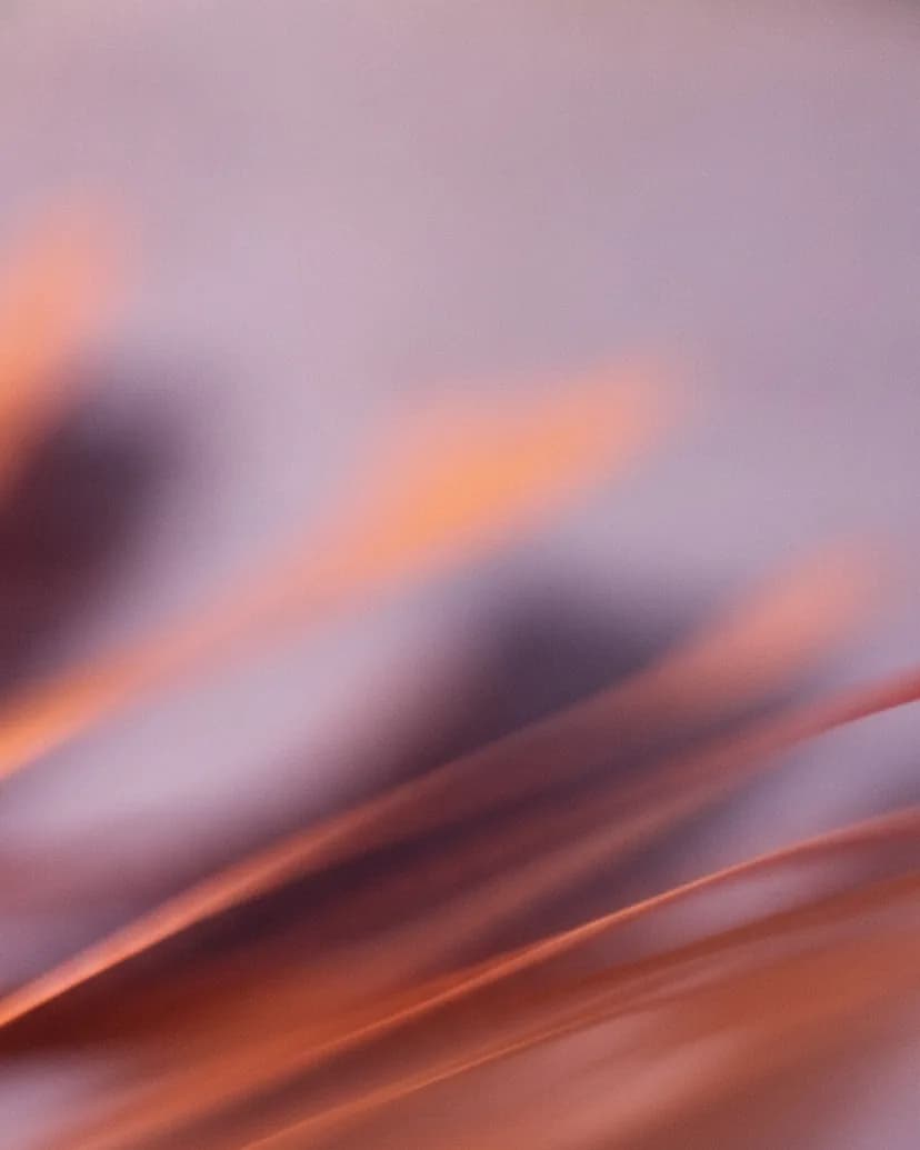 Verwischte Lichtstreifen in Violett und Orange, wie aus einem fahrenden Zug gesehen.